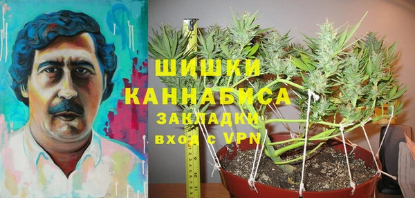 соль ск Белокуриха
