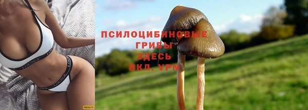 мефедрон Богородицк