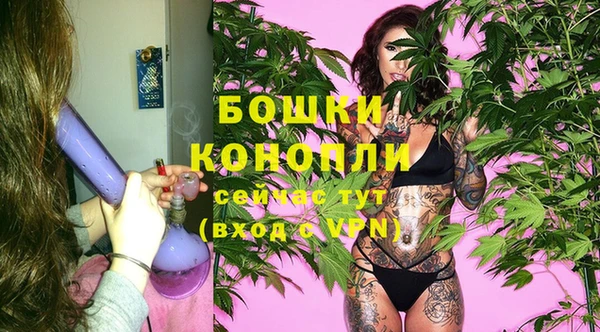 соль ск Белокуриха