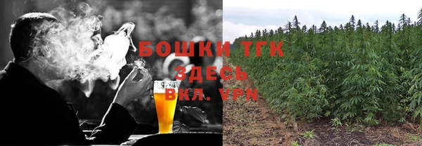соль ск Белокуриха