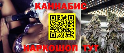 гашик Можга