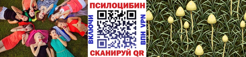хочу наркоту  Губкинский  блэк спрут ТОР  Псилоцибиновые грибы мицелий 