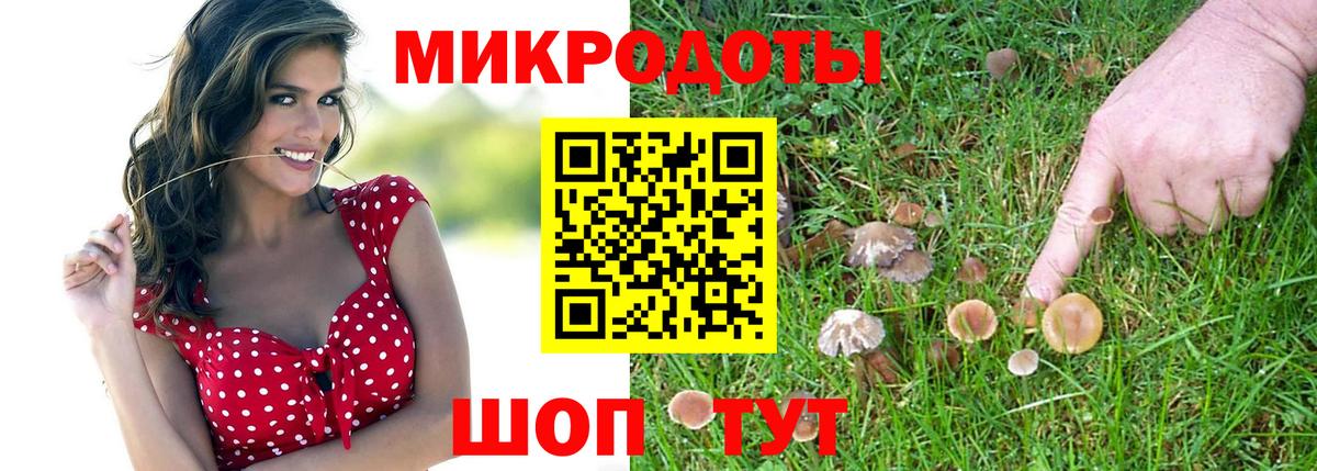 Губкинский  Галлюциногенные грибы ЛСД  Вход с VPN 